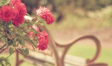 百变巫女一周星座运势（2014.6.2-6.8）