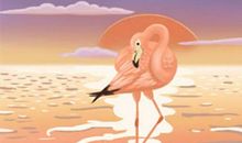 处女女跟陌生人缠绵通常是想发生什么