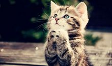 傅瀚萱12星座本周爱情与财富运势5月27日～6月2日