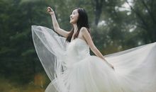 柒爸2017年1月金牛座运势