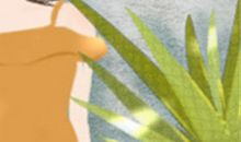 手把手教你事业线是哪条？事业线怎么看？