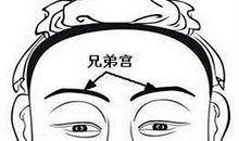 不同主星的兄弟宫命运