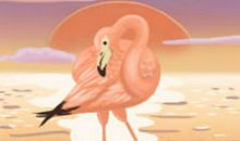 天蝎做事的态度面面观