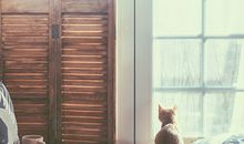 客厅窗帘颜色风水忌讳