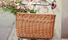 Geo老师双子座一周运势（1.21-1.27）