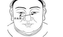 子女宫包含十四主星的不同含义(上)