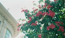 塔罗右手本周运势（6.26-7.2）