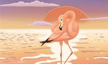 唐立淇2016年12月水瓶座运势