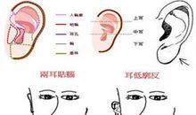 教你如何看相耳