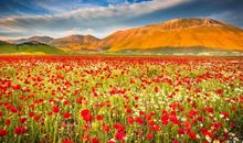 Geo老师:处女座一周运势（4.29-5.5）