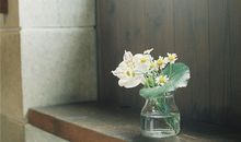 徐墨斋2017年11月生肖鸡运势