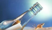 Geo老师:双子座一周运势（4.29-5.5）