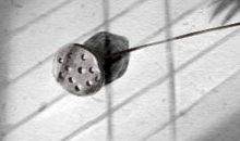 情人节处女座甜蜜指数[图]