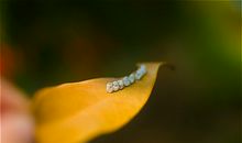 杨清华乙未年农历四月事业财运