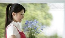 处女座夏日开运法插花