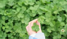 徐墨斋2017年11月生肖牛运势