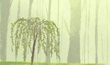 金牛座的宿命情人