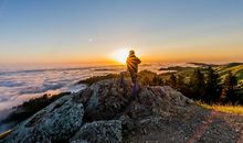 1983年属猪的是什么命