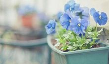 农历十月谁易多是非