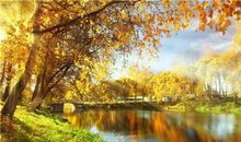 张盛舒十二星座每周旅游出行运(9.25-10.1）