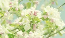 张盛舒十二星座每周旅游出行运(10.16-10.22）