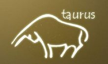 金牛座为什么总是光棍