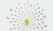 狂月12星座一周运势2013/02/18—02/24