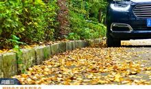 金牛座说话的优势