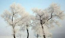 二十四节气之大寒