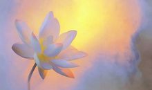 杨清华9月12生肖事业财运