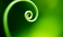 女巫店12星座一周运势0130-0205