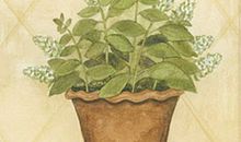 生肖龙的职业潜能