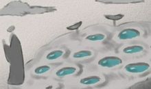 解惑：立夏三鲜是什么？