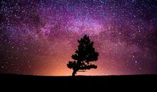 紫微斗数命宫，紫微斗数命宫之武曲星解析