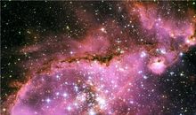 紫微斗数命宫，紫微斗数命宫之廉贞星解析