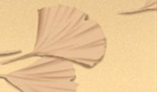 天蝎座的留学态度