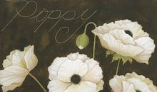 生肖羊的职业潜能