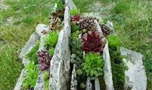 被路边的石头绊到时处女座的反应