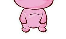 生肖猪2013癸巳年运势