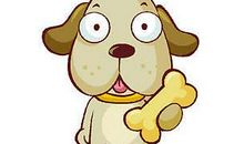 生肖狗2013癸巳年运势