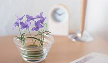 徐墨斋2017年11月生肖猪运势