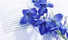 Alex摩羯座一周运势（5.28-6.3）