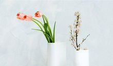 Alex双鱼座一周运势（5.28-6.3）