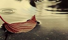 Annemilk一周星座运势（2014.11.3-11.9）