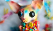 紫微精论2013癸巳年运势解析：爱情运