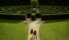 紫微精论2013癸巳年运势解析：财运