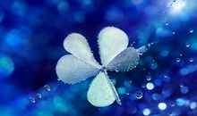 占星学春季度运势启示