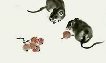 1996年属鼠的人2020年运势大全及破解