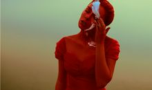 生肖龙的命格与运势