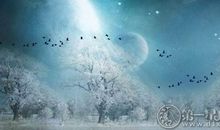 海百合本周星座运势（2012年5月24—30日）